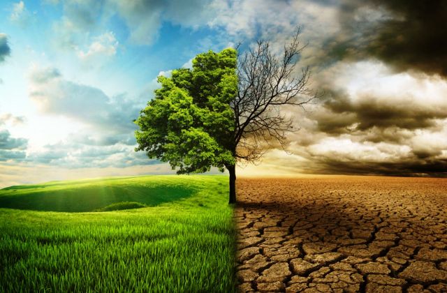 Siracusa. Progetti “verdi” contro cambiamenti climatici, con 663mila euro da Stato e 160 nuovi alberi. Per irrigare si riutilizzerà acqua piovana